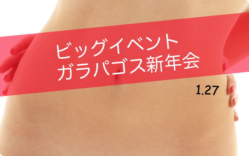 ガラパゴス 新年会-2017-