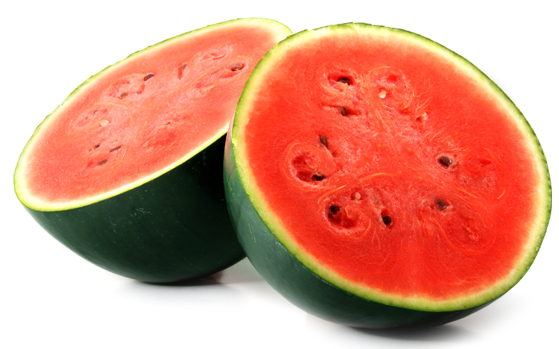  流しそうめん＆スイカ割りパーティー