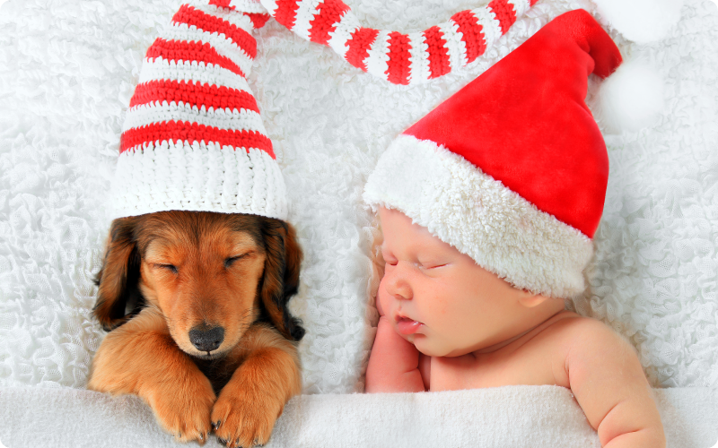 Christmas party -2017-