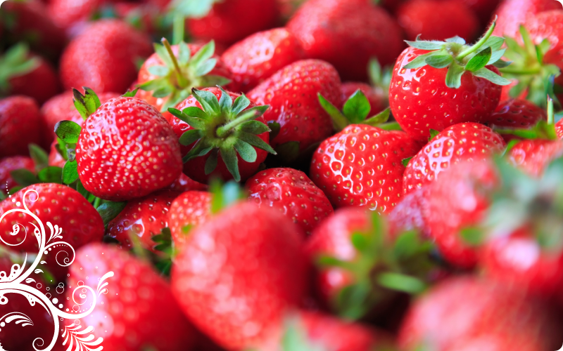 昼の部ビッグイベント イチゴ狩りパーティ―