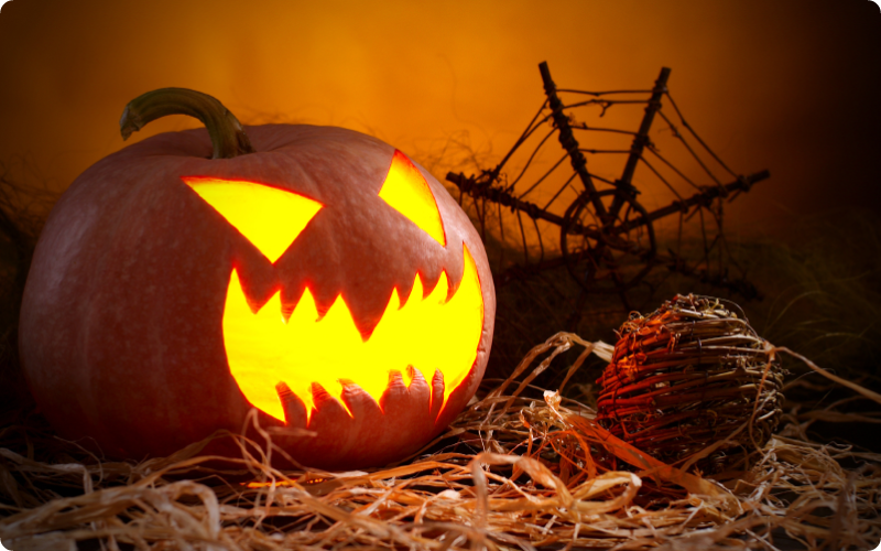 秋のビッグイベント 秋の味覚大三昧パーティー！